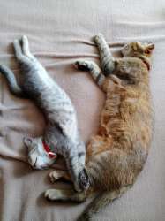 IMG-20250731-WA0007.jpg