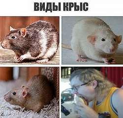 49a1af77-de0a-4270-95d4-c340fda89834orig.jpg