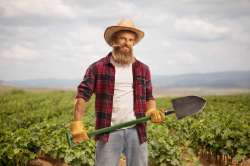 istockphoto-1885981561-612x612.jpg