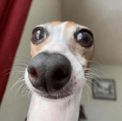 17539774862776381238706473580697.png