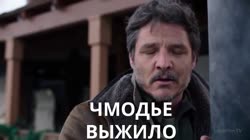 17538543870060.mp4