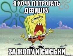 IMG9356.png