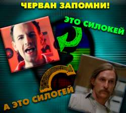 сиолкей.jpg