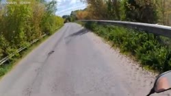 17437780469090.webm