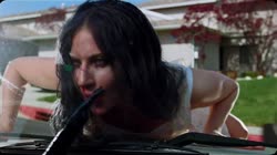 29391.mp4