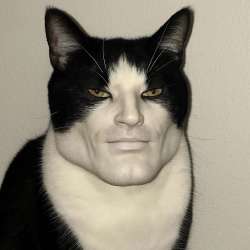 17539629125200.png