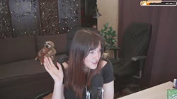 17540226329160.mp4