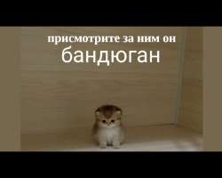 16941932418150.png