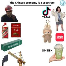 .jpg
