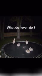17539372398915.mp4
