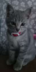 IMG-20250801-WA0016.jpg