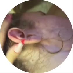 video2025.mp4