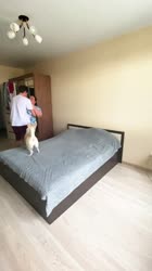 17540719007230.mp4