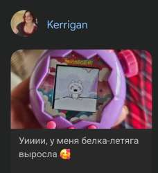 Screenshot20250802172542Chrome.jpg
