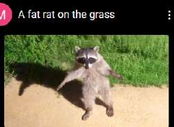 1666175541785.png