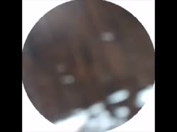 15780444552170.mp4