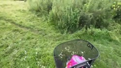 1613328721260.mp4