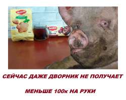 Русский. Сейчас даже дворник.png