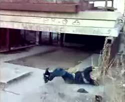 16968813866450.webm