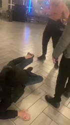1.mp4