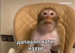 doc2024-10-0208-21-17.mp4