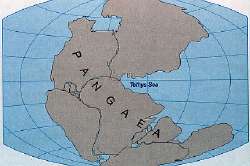 1754207184001.jpg