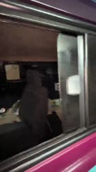 IMG77260.MOV