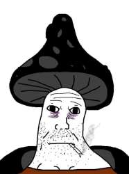 17542446232000.png