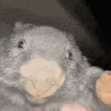 wombat-reverse.gif