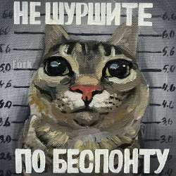 IMG20250803065841377.jpg