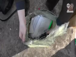 видео.webm