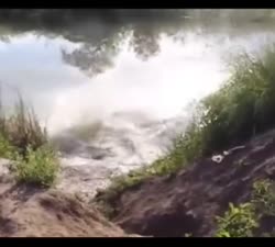 bandicam 2025-07-17 10-54-51-870.mp4