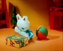 14638895076020.webm