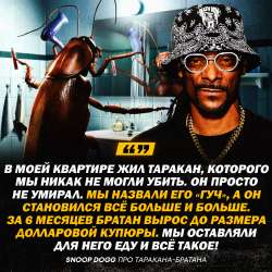 IMG20250803174605825.jpg
