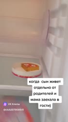 17542667908170.mp4