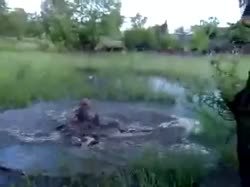 07424c28bd7e7c8c9711001780f33850.webm