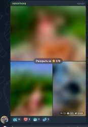 Screenshot20250804205315Telegram.jpg