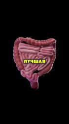 ! Двач @dvachannel @rand2ch @ru2chban.mp4