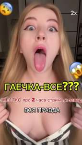 1234331.jpg