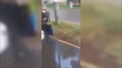 17382256487860.mp4