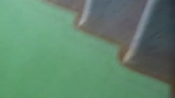 17507866349590.webm