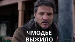 17538543870060.mp4