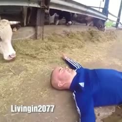a59ed7ebebcd434fb2edbbb8323e4e16.mp4