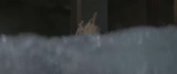 1.mp4