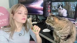 17487883661580.mp4