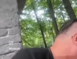 25251592680462384311.mp4