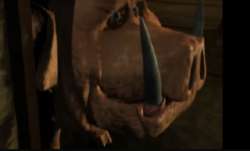 IMG7718.jpeg