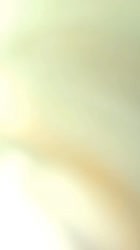 COMPRESS1753980344814.mp4