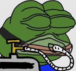 IMG8200.jpeg