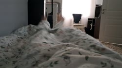 20250807191415.mp4